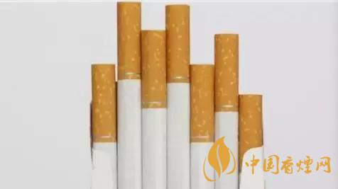香煙和雪茄哪個(gè)好抽？香煙和雪茄八大區(qū)別介紹2020