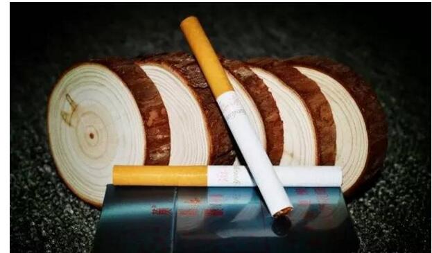 黃鶴樓游泳回歸，爺爺輩最喜愛的香煙品牌