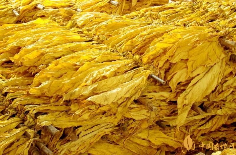 朱砂煙到底是什么煙，云煙朱砂煙有哪幾款