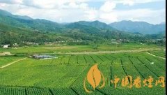 雪茄與香煙的區(qū)別 尤其要重視對身體傷害方面