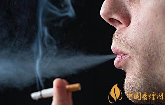 怎么快速去除室內(nèi)的煙味只需要做好這三步！