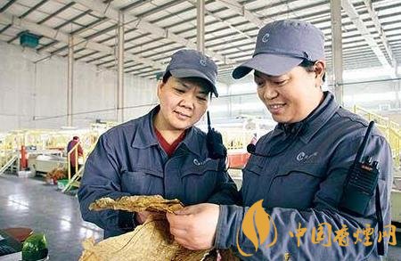 江西中煙贛州卷煙廠制絲車間狠抓創(chuàng)新促管理水平提升！